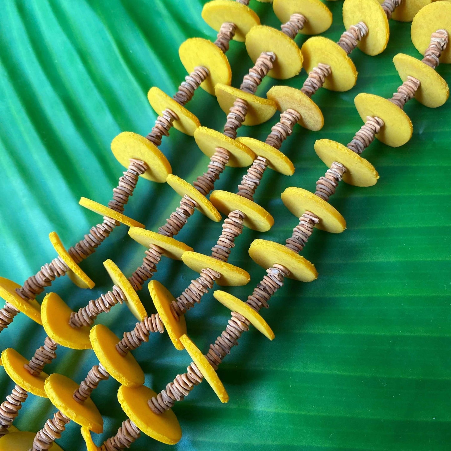 Colar de sementes de morototó naturais e látex amarelo