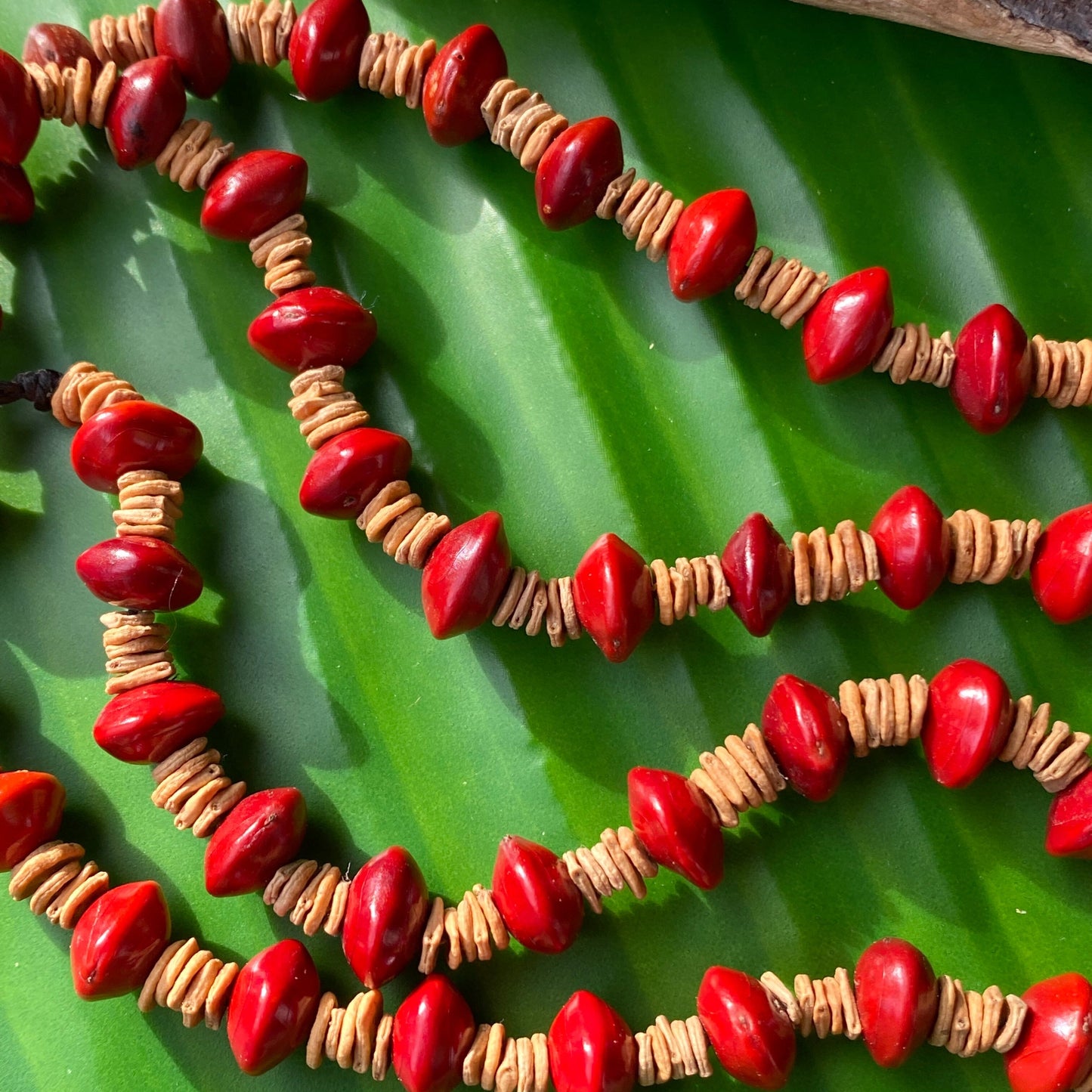 Collier de graines morototo naturelles et graines de Pau Brasil Collier Communauté Jamaraqua, située sur la rive du fleuve Tapajos, état du Para.