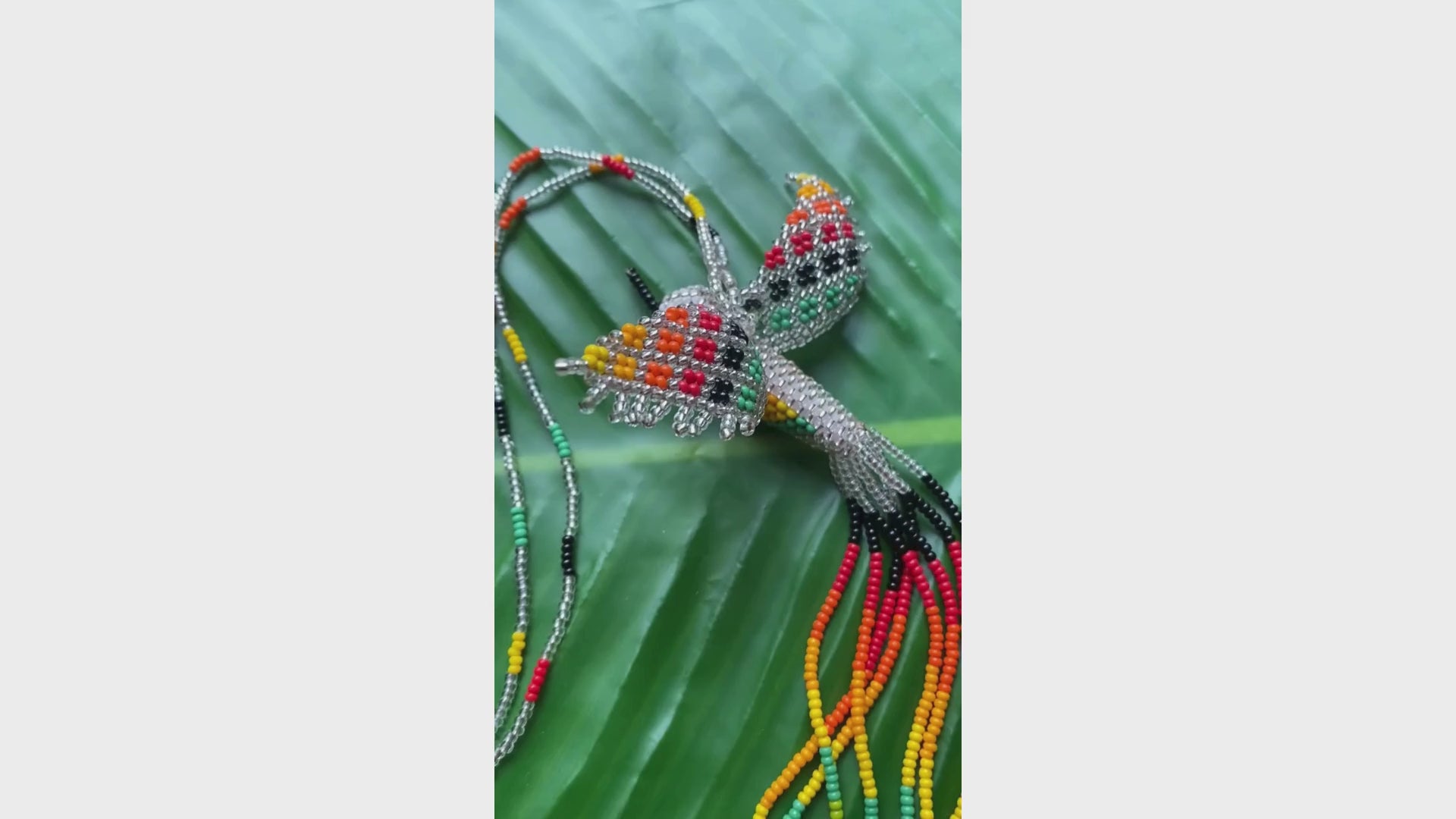 colibri miçanga argenté