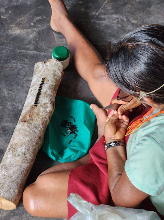 Bijoux et durabilité : comment nos choix influencent la forêt