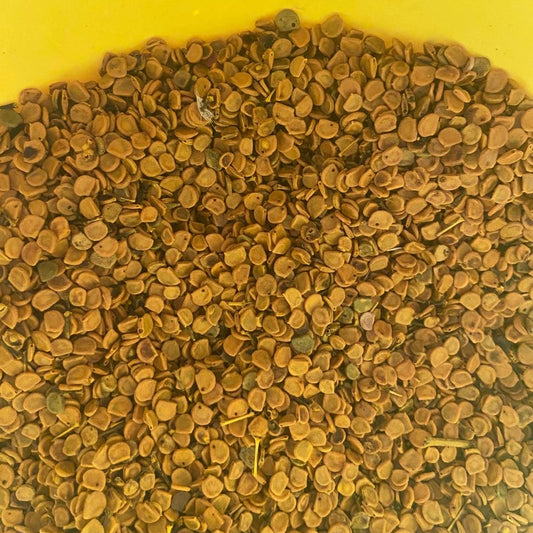 Graines de morototó teintées, réunies dans un récipient jaune