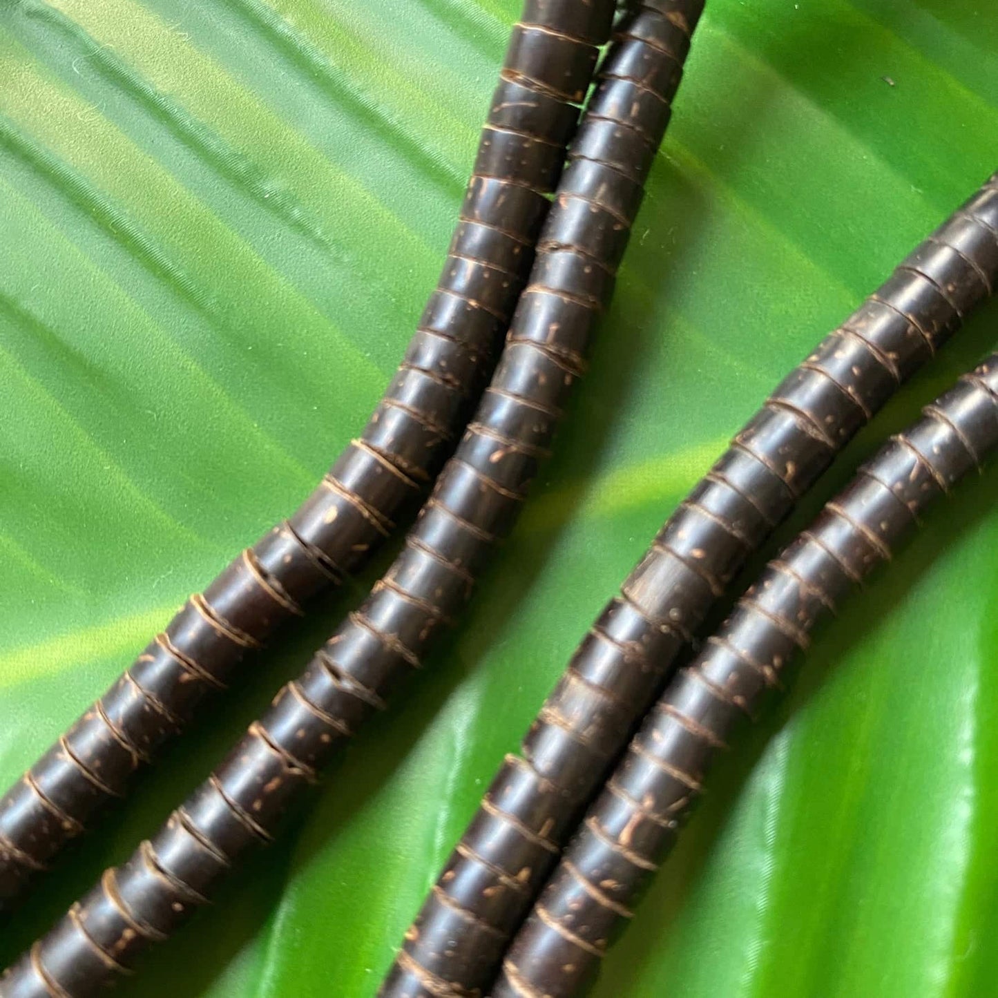 Collier de graines de Tucuma épaisses - Ethnie Mehinako