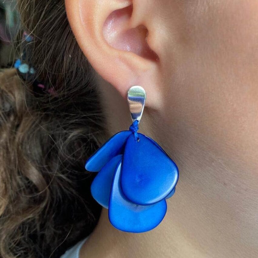 Boucles d'oreilles de graines naturelles Jarina bleu Boucles d'oreilles Artisan local situé dans l'état de Sao Paulo au sud du Brésil. 