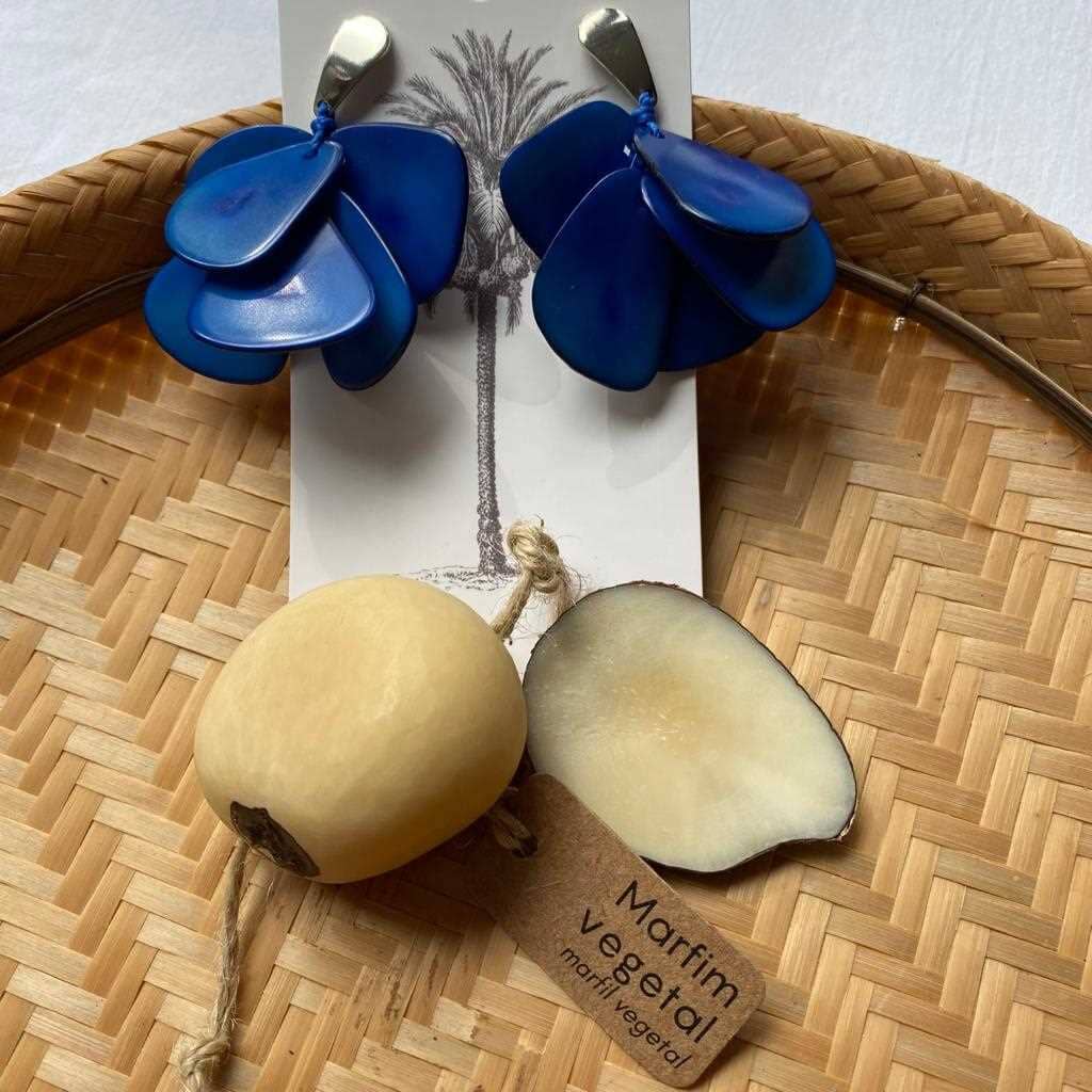 Boucles d'oreilles de graines naturelles Jarina bleu Boucles d'oreilles Artisan local situé dans l'état de Sao Paulo au sud du Brésil. 