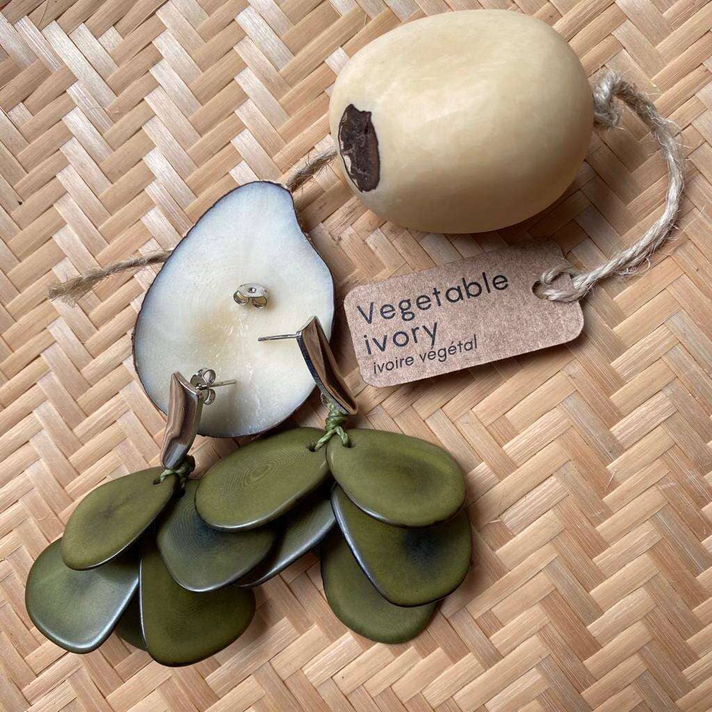 Boucles d'oreilles de graines naturelles Jarina vert olive Boucles d'oreilles Artisan local situé dans l'état de Sao Paulo au sud du Brésil. 