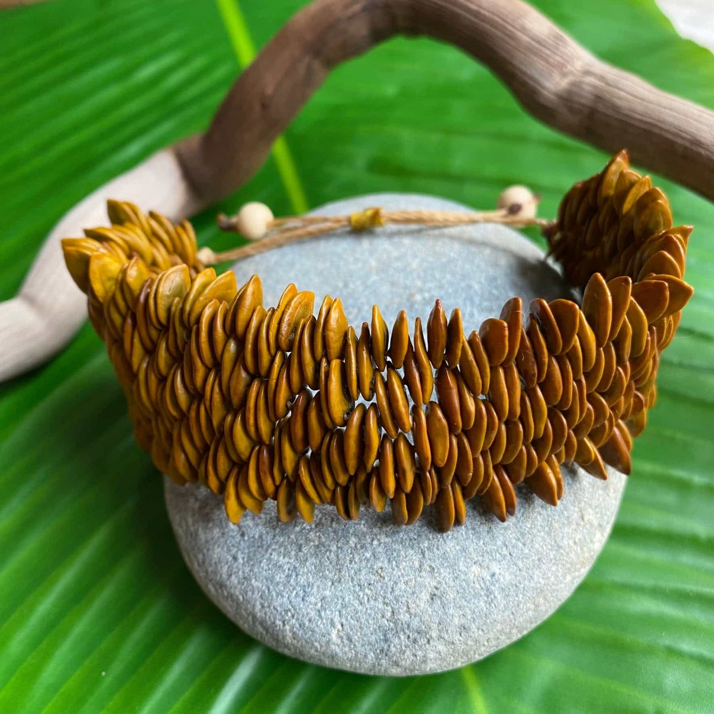 Bracelet de graines naturelles de jueirana beige - Ethnie Pataxo Bracelet Ethnie Pataxo, localisée dans l'état de Bahia à l'Est du Brésil. 
