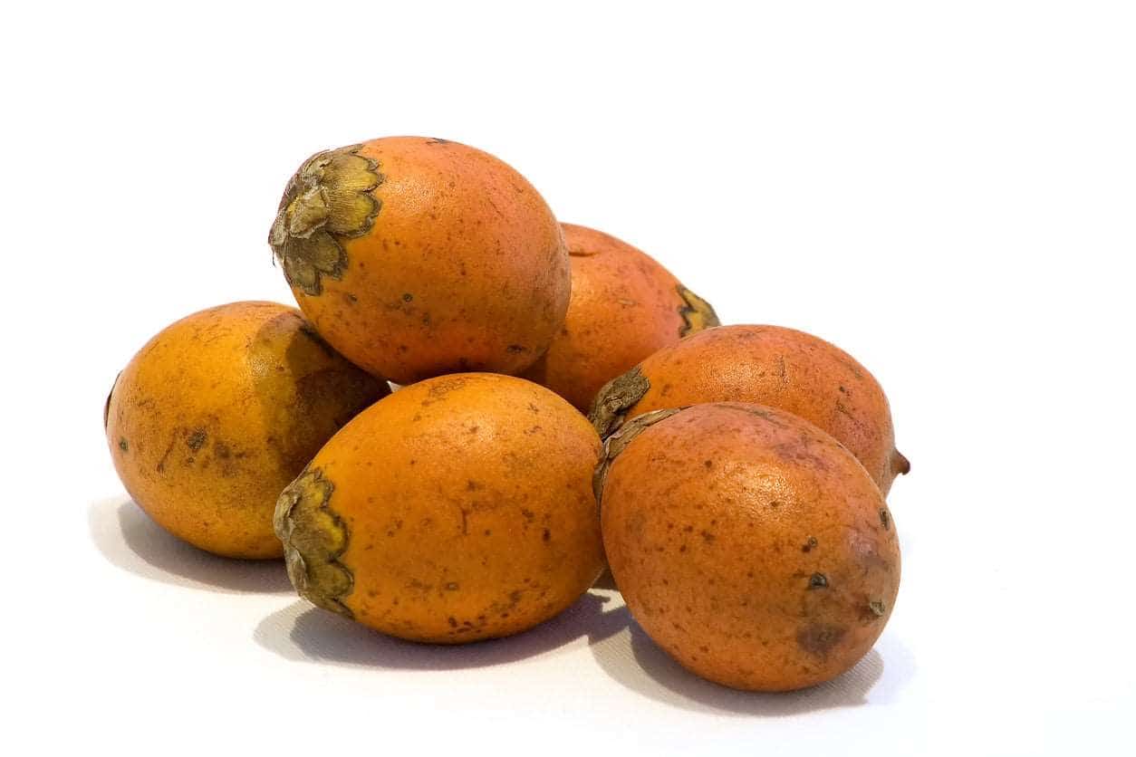 Collier de graines naturelles de tucumã - marron - Ethnie Apurina Collier Ethnie Apurina, localisée dans l' état de l' Amazonas au Nord du Brésil. 