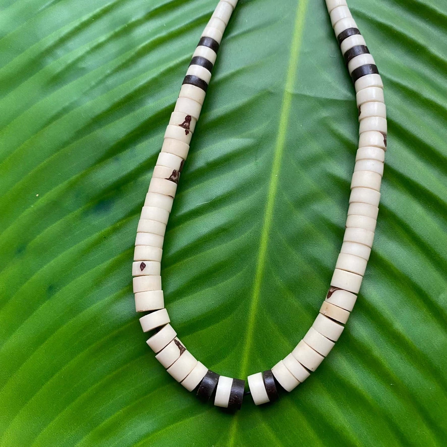 Collier de noyaux de jarina et tucumã - court - Ethnie Apurina Collier Ethnie Apurina, localisée dans l' état de l' Amazonas au Nord du Brésil. 